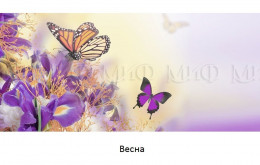 Обеденный стол овальный с фотопечатью