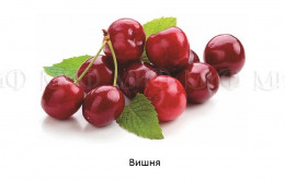 Обеденный стол прямоугольный с фотопечатью