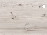 Сосна бискайская 38 мм. (2058М)