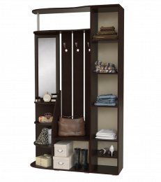 Современная прихожая для узкого коридора BTS Ксения