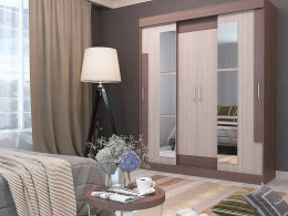 Шкаф купе Феникс