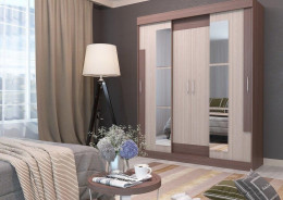 Шкаф купе Феникс