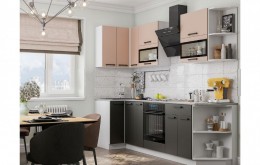 Кухня МДФ Техно 900х2700 Компоновка №2