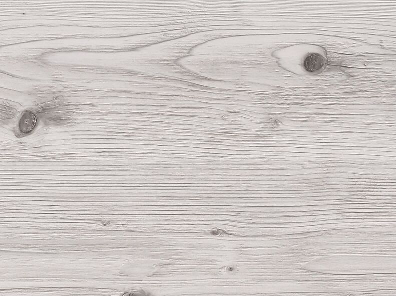 Сосна бискайская (2058М)