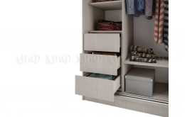 Шкаф-купе Тринити 5 NEW 2000