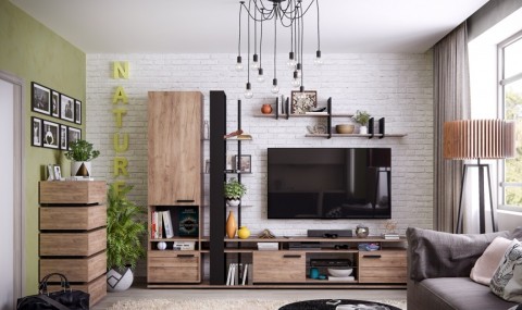 Гостиная Натура