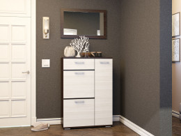 Обувница Эра Ника ТВ800