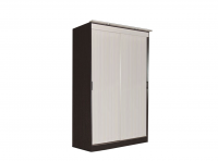 Светлана Шкаф-купе 2-х створчатый без зеркала