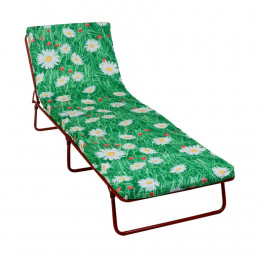 Стальная раскладушка Стефания-2