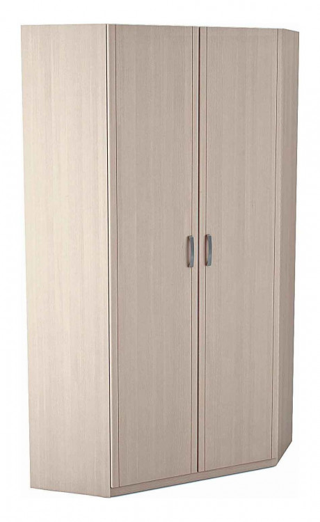 Шкаф детский 5.09 для одежды угловой 2-х дверный