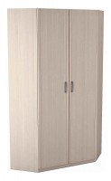Шкаф детский 5.09 для одежды угловой 2-х дверный