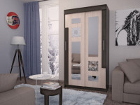 Шкаф-Купе Фортуна 05