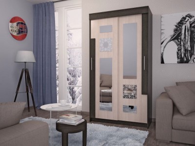 Шкаф-Купе Фортуна 05