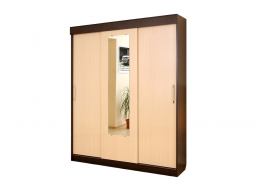 Шкаф купе Холл