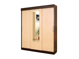 Шкаф купе Холл