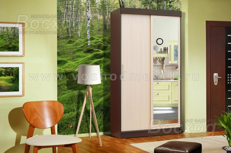 Шкаф купе Базис Шкаф купе Базис