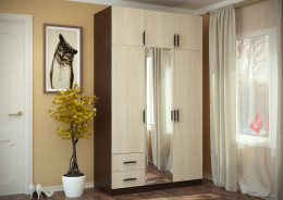 Распашной шкаф BTS Лидер