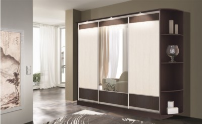 Шкаф купе Токио