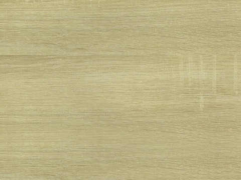 Канадский дуб (3230М)