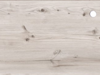 Сосна бискайская 26 мм. (2058М)