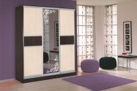 Шкаф-купе Магнат 3 - набор дверей 1