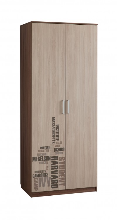 Шкаф распашной МебельСон Колледж 2-створчатый