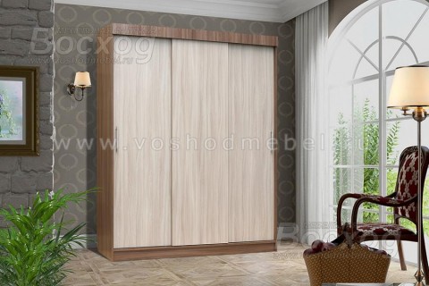 Шкаф купе Базис