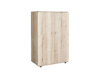 Дельта-Лофт 13.01  шкаф для одежды