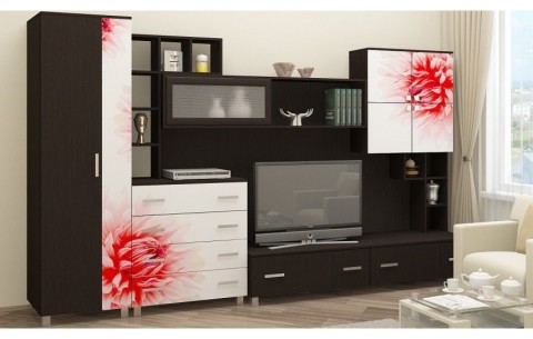 Гостиная Сакура, МДФ фотопечать