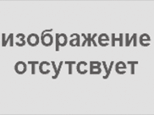 Газ-лифт 80N (8кг.) Газ-лифт 80N (8кг.)