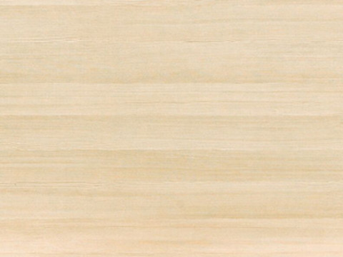 Дуглас светлый (133М)