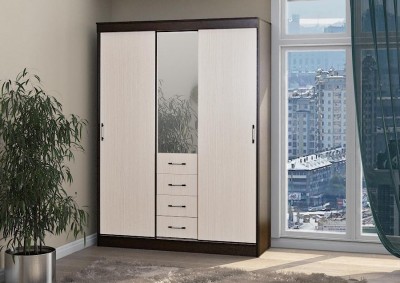 Шкаф-Купе Фиеста-13