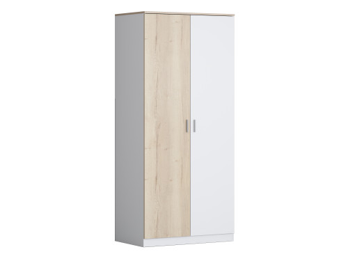 Шкаф для одежды ДЕЛЬТА Лофт 13.02 White